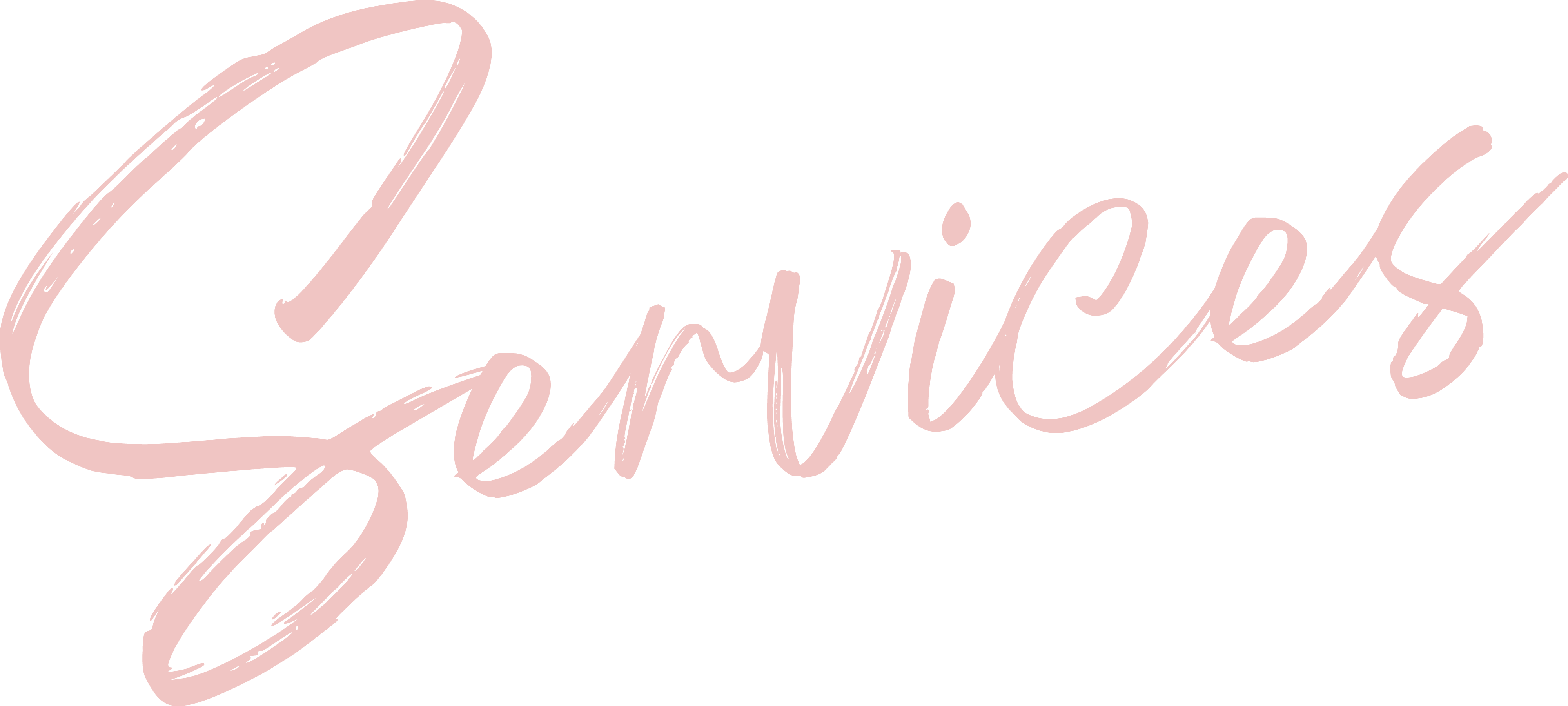 Secret Services logo in stylized brush font